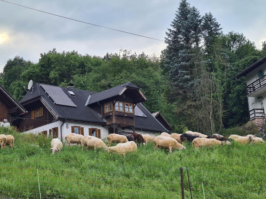 Ferienhaus Beringer Am Kallbach Traunkirchen Exterior photo